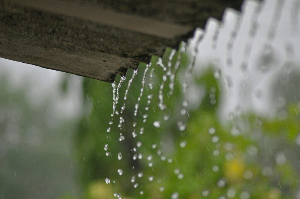 Prepare Your Gutters for Heavy Summer Showers in Lacey