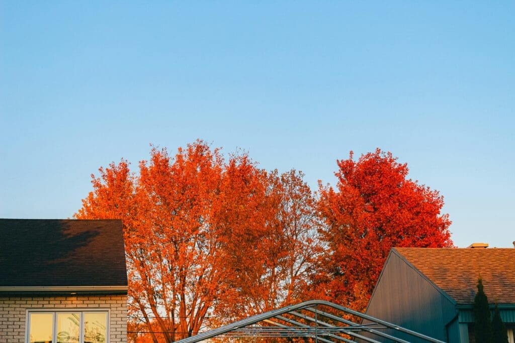Fall the Right Time for Roof Cleaning