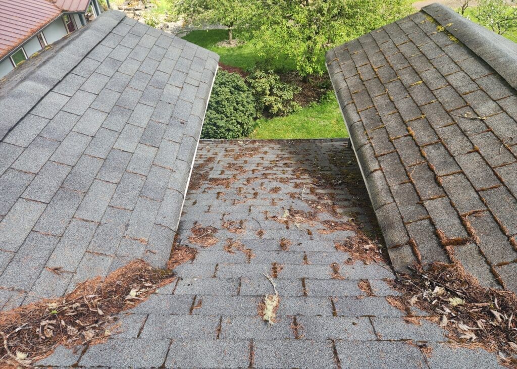 Dirty roof with debris accumulation visible.