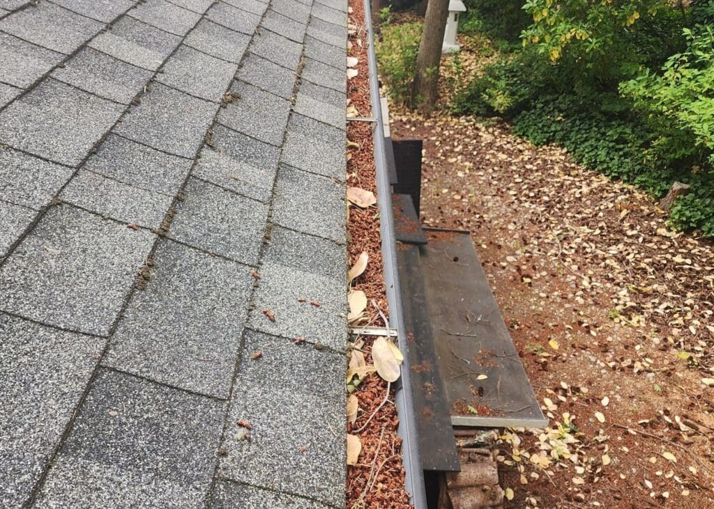 Clogged gutters with fallen leaves.