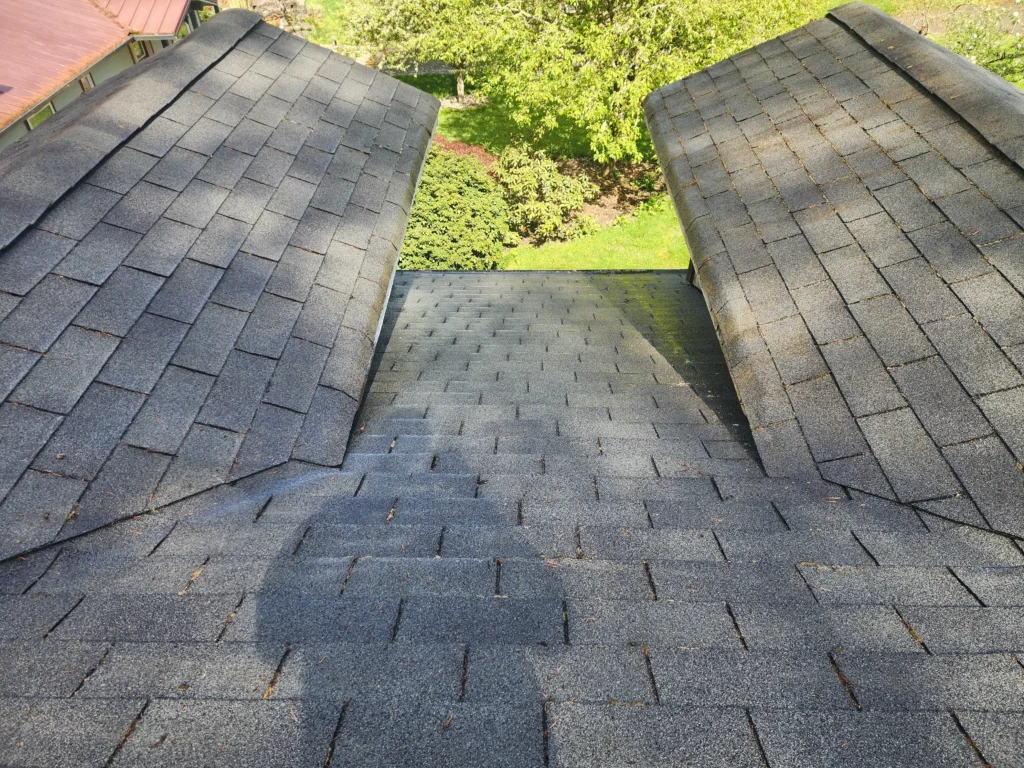 Roof shingles with greenery background