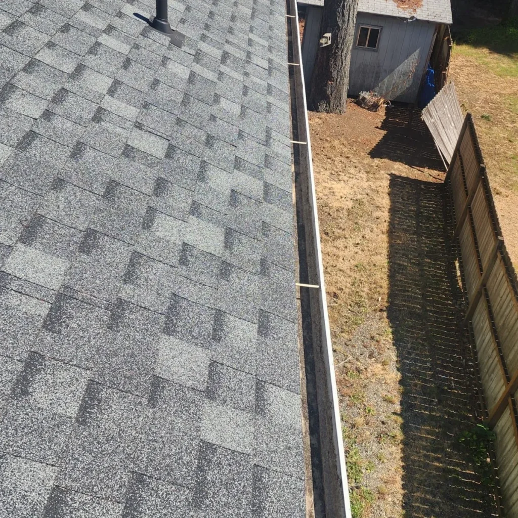 Roof and gutter with dry grass