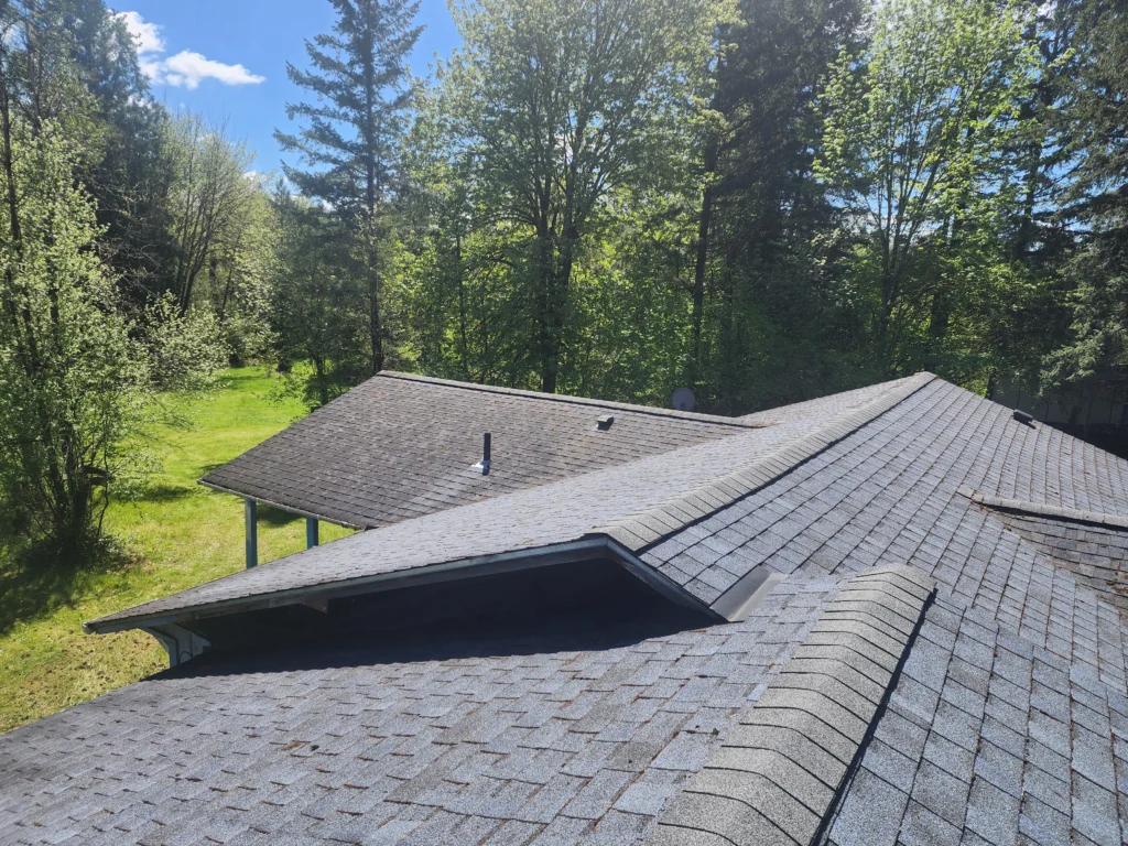 Roof view with trees and blue sky