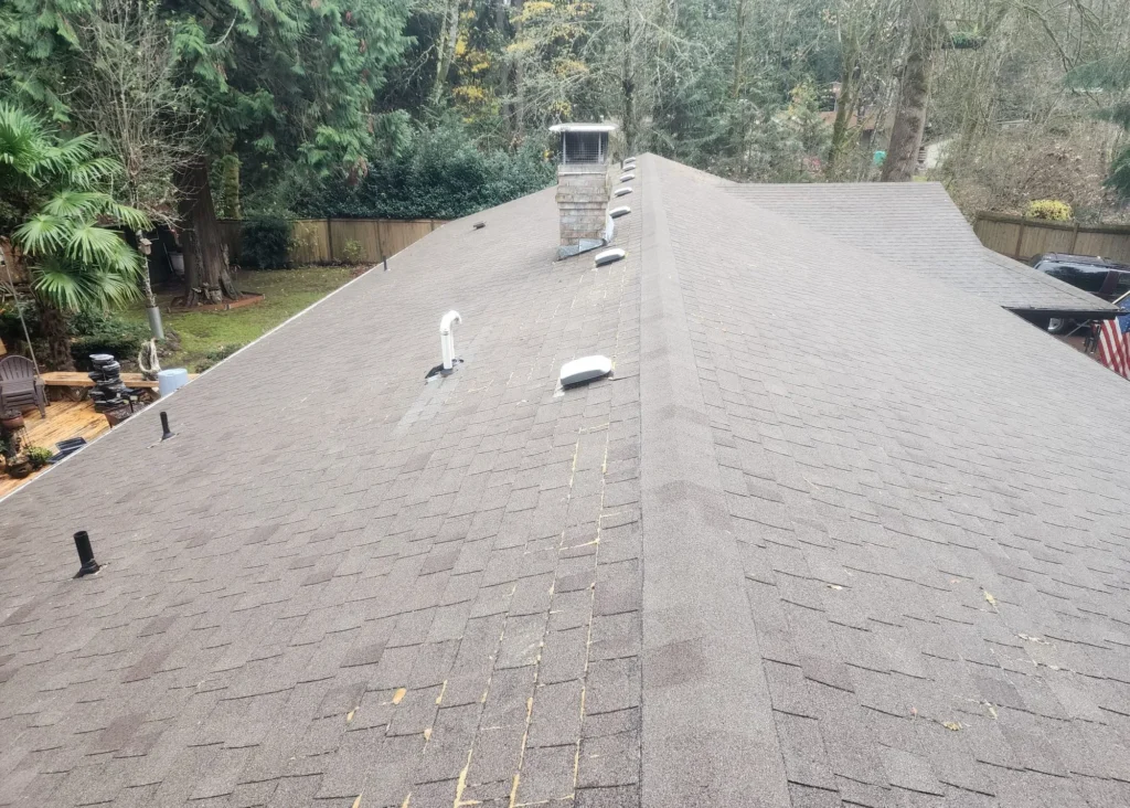 Why Moss Grows Faster on Olympia Homes and How to Manage Roof Quality